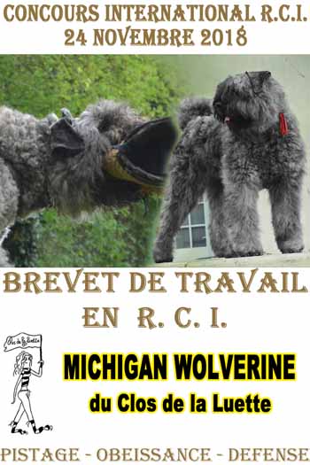 MICHIGAN du Clos de la Luette BREVET RCI COPYRIGHT 2018